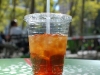 iste-bryant-park